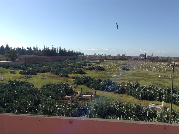 View of Cemetery from Riad in Marrakesh