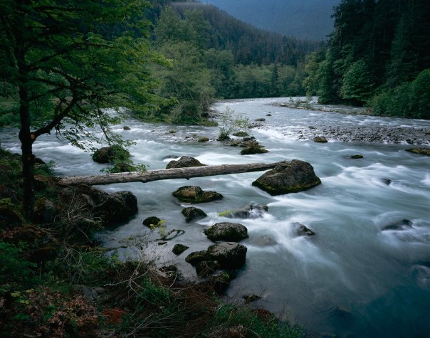 http://www.nps.gov/olym/naturescience/images/Elwha-River-log-Scott-Church-copy.jpg