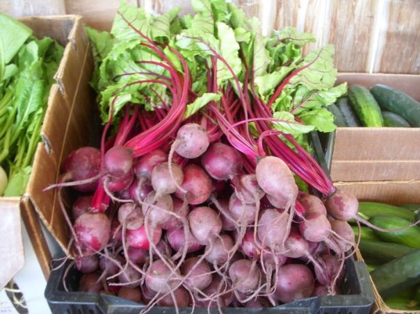 Beets from Redwood Roots Farm, the same ones that end up in this recipe!
