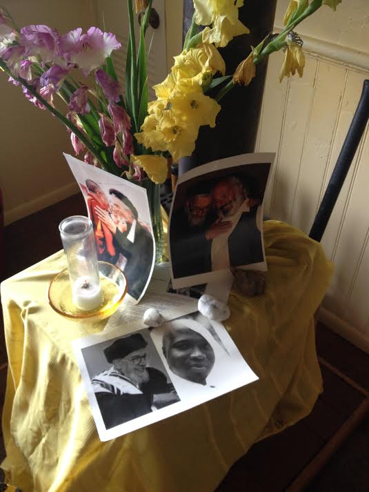 Photos of my Rebbe, Flowers from my Garden and the Seven Day Candle