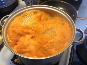 Serious scummy stuff