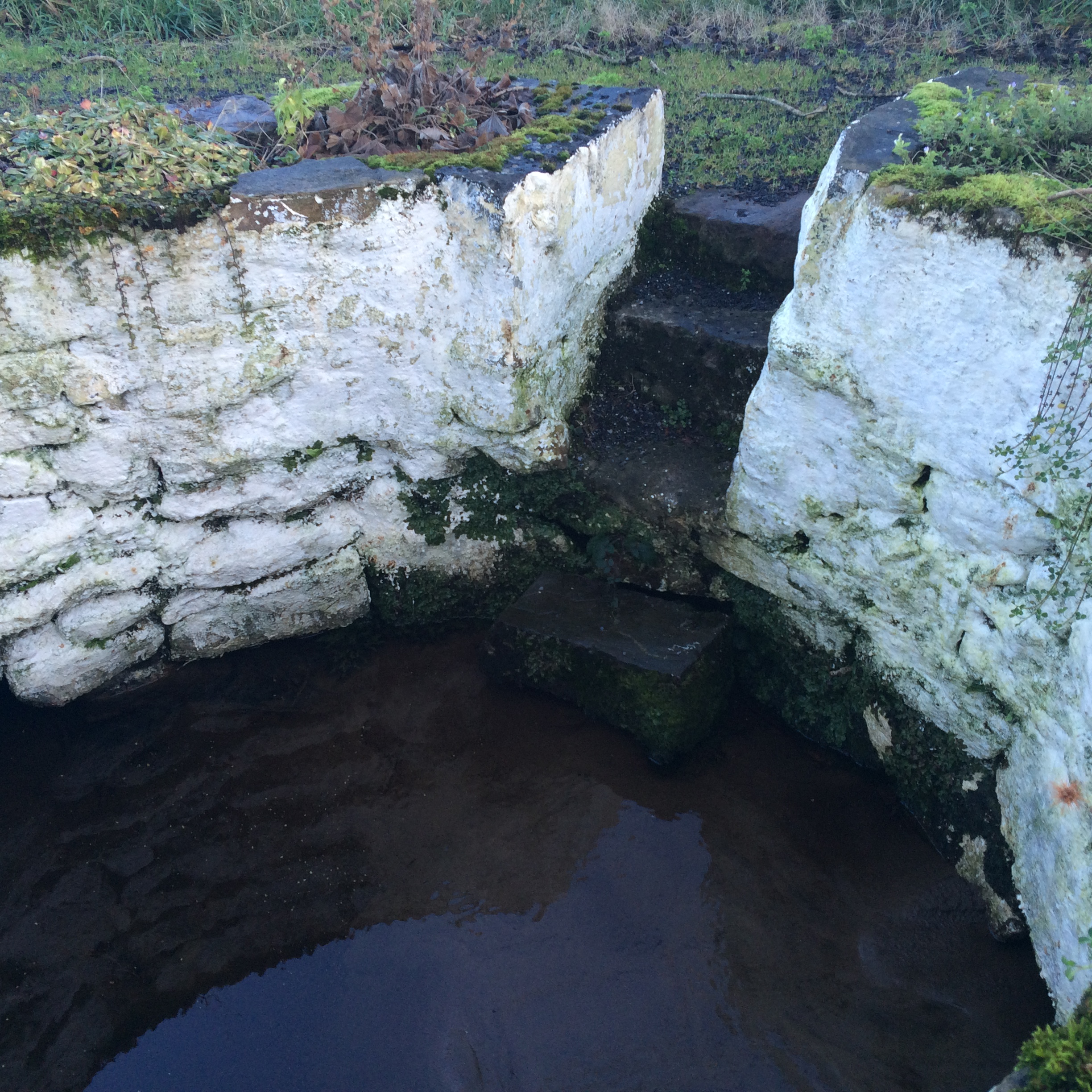Holy Well with Steps