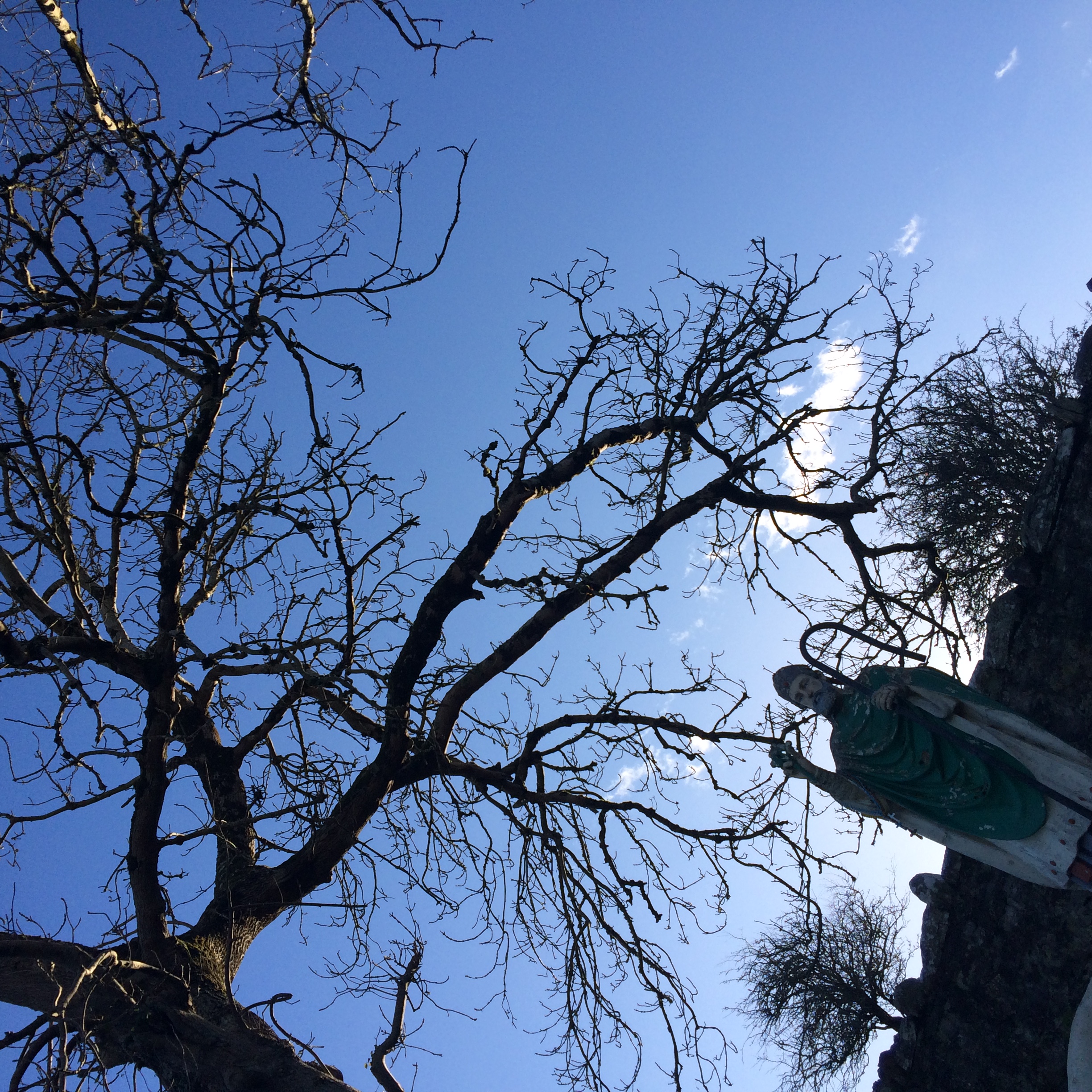 Skewed View from rock Patric and tree